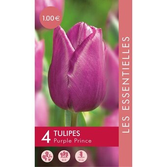 Carrefour Bulbes à fleurs offre