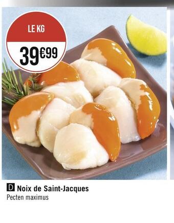 Noix de saint-jacques