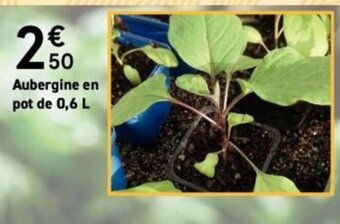 Mr Bricolage Aubergine en pot de 0,6 L offre