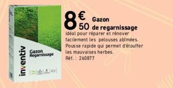Mr Bricolage Gazon de regarnissage offre