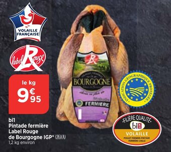 bil Pintade fermière Label Rouge de Bourgogne IGP