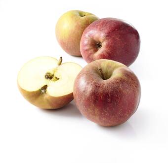 Match Pomme à cuire boskoop offre