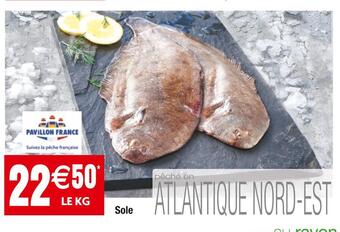 Cora x Carrefour Pavillon france sole offre