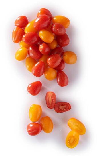 Match Tomate cerise allongée duo offre