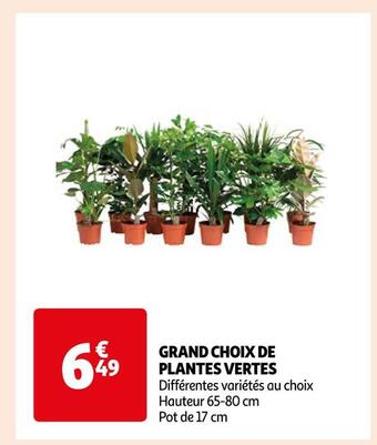 Auchan Supermarché Grand choix de plantes vertes offre