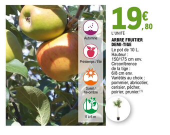 E.Leclerc Jardi ARBRE FRUITIER DEMI-TIGE offre