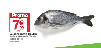 Promocash Daurade royale 600/800 offre