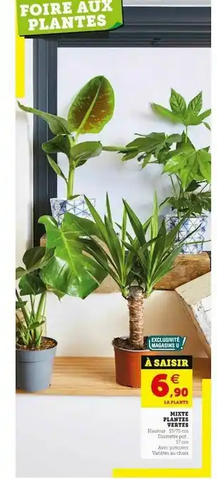 U Express Mixte Plantes Vertes offre