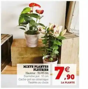 U Express Mixte Plantes Fleuries offre