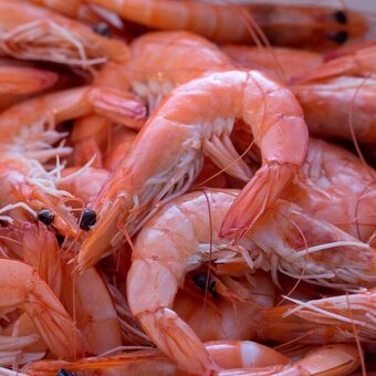 Auchan Crevettes entières cuites réfrigérées ou crues décongelées offre