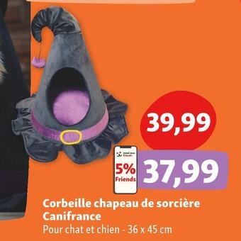 Maxi Zoo Corbeille chapeau de sorcière canifrance offre