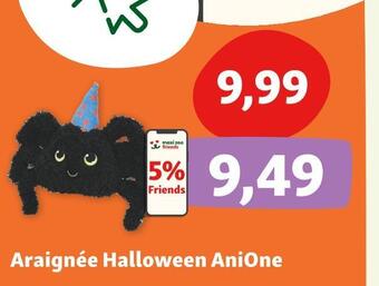 Anione araignée halloween