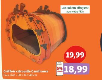 Maxi Zoo Griffoir citrouille canifrance offre