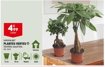 ALDI Gardenline plantes vertes offre