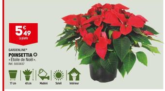 ALDI Gardenline poinsettia offre