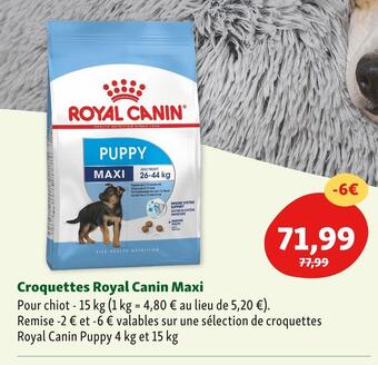 Maxi Zoo Royal canin croquettes royal canin maxi offre