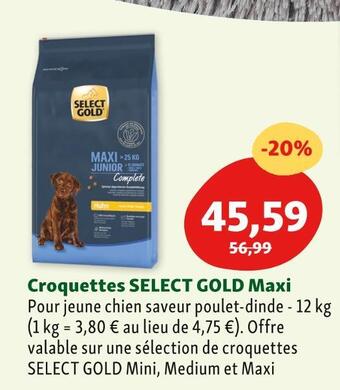 Maxi Zoo Select gold croquettes select gold maxi offre
