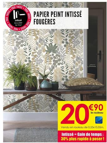 Décor Discount Papier peint intissé fougères offre