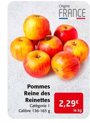 Colruyt Pommes reine des reinettes offre