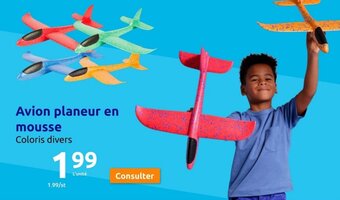 Avion planeur en mousse Coloris divers