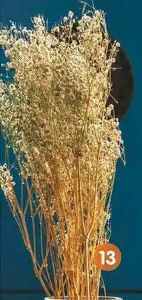 Fleurs séchées