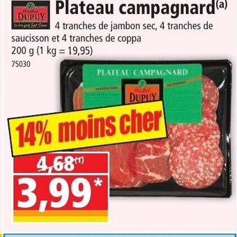 Norma Plateau campagnard offre