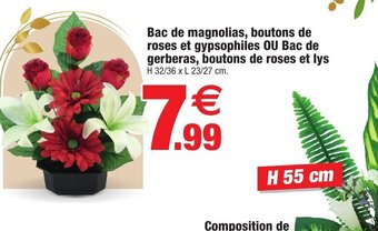 Bazarland Bac de magnolias, boutons de roses et gypsophiles OU Bac de gerberas, boutons de roses et lys offre