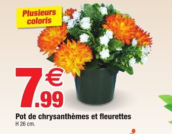 Pot de chrysanthèmes et fleurettes