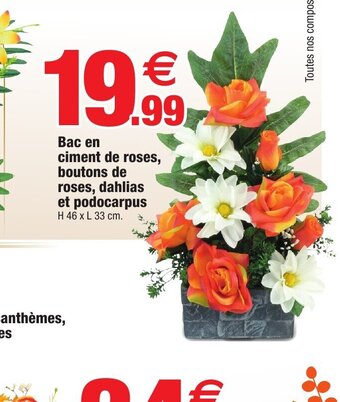 Bac en ciment de roses, boutons de roses, dahlias et podocarpus