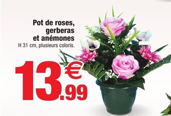 Bazarland Pot de roses, gerberas offre