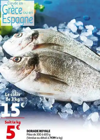 Auchan DORADE ROYALE offre