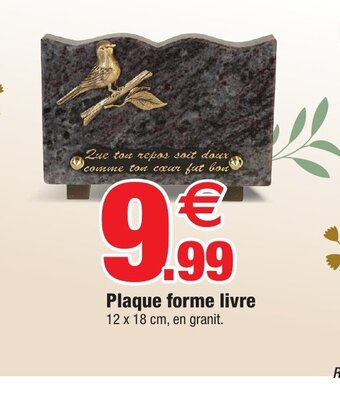 Bazarland Plaque forme livre offre