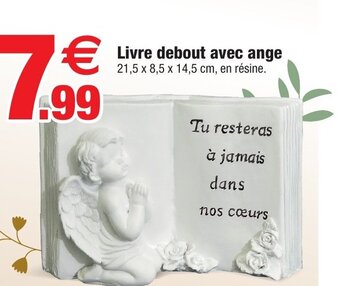 Bazarland Livre debout avec ange offre