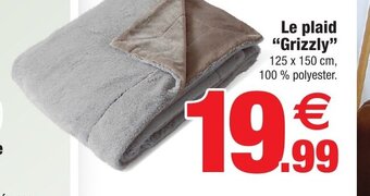 Bazarland Le plaid Grizzly offre