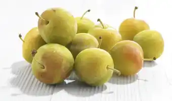 Prune jaune