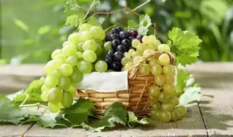Géant Casino Bon plan sur le raisin Noir Muscat offre