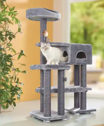 Maxi Zoo Arbre à chat offre