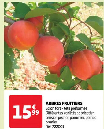 Auchan ARBRES FRUITIERS offre