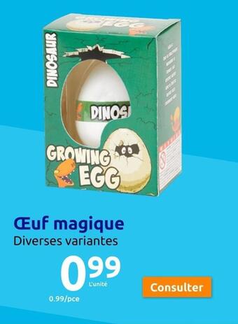 Action Oeuf magique offre
