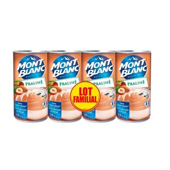 Mont blanc crème dessert lot familial