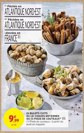Bulots cuits ou coques moyennes ou pieds de couteaux