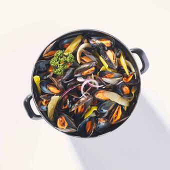 Match Moule de hollande offre