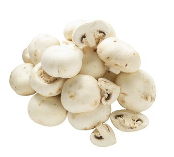 Match Champignon blanc offre