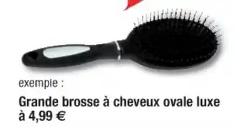 Grande brosse à cheveux ovale luxe
