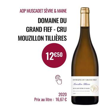 Nicolas Domaine du grand fief aop muscadet sèvre & maine cru mouzillon tillières offre