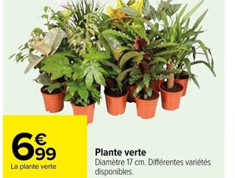 Carrefour La plante verte offre