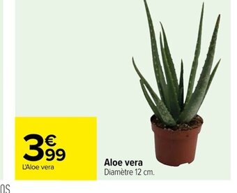 Carrefour Aloe vera offre