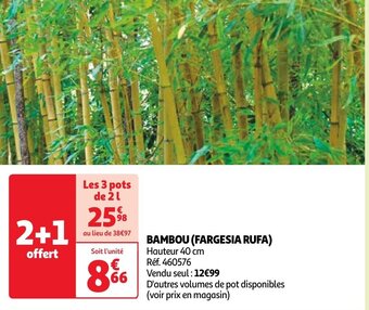 Auchan BAMBOU (FARGESIA RUFA) offre