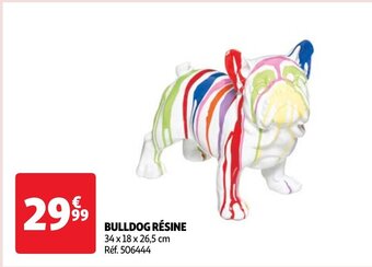 Auchan BULLDOG RÉSINE offre