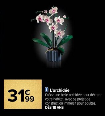 Carrefour L'orchidée offre